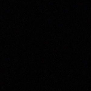 Meet your Posher, Samuel